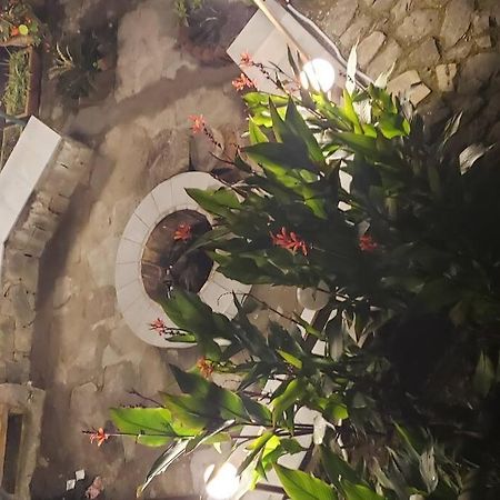Kasauli Cascade A Cheerfull 4 Bedroom Challet Екстер'єр фото