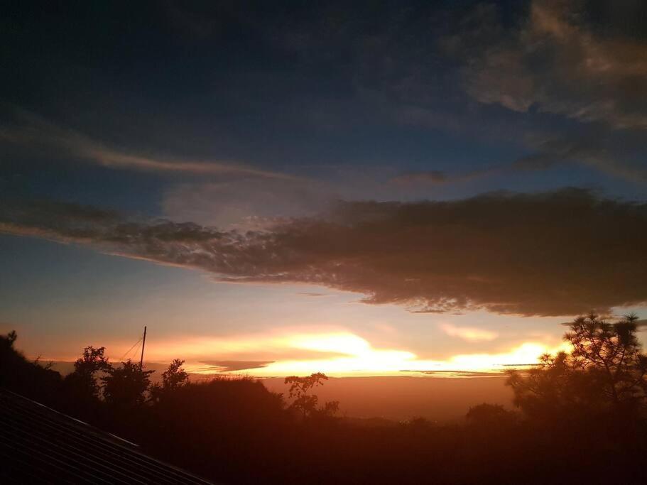 Kasauli Cascade A Cheerfull 4 Bedroom Challet Екстер'єр фото