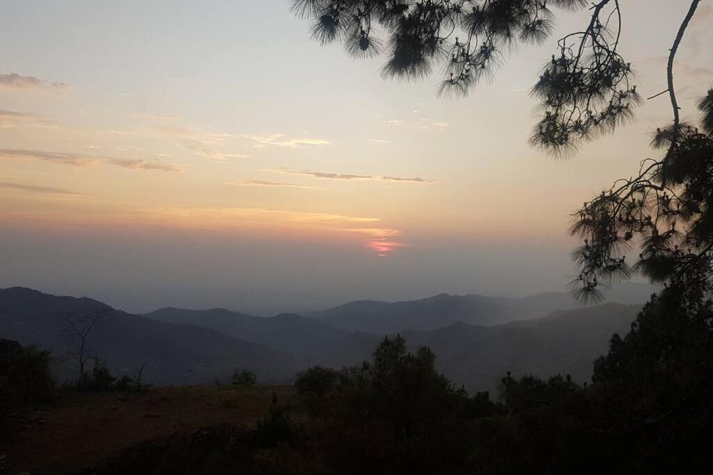 Kasauli Cascade A Cheerfull 4 Bedroom Challet Екстер'єр фото
