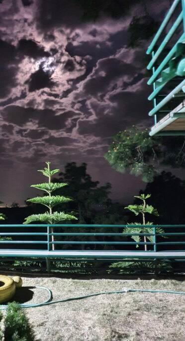 Kasauli Cascade A Cheerfull 4 Bedroom Challet Екстер'єр фото