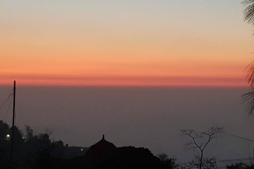 Kasauli Cascade A Cheerfull 4 Bedroom Challet Екстер'єр фото