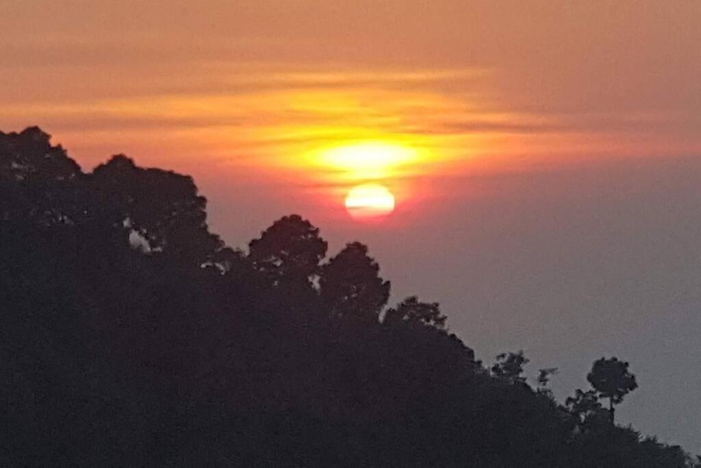 Kasauli Cascade A Cheerfull 4 Bedroom Challet Екстер'єр фото