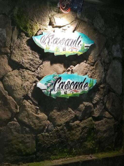 Kasauli Cascade A Cheerfull 4 Bedroom Challet Екстер'єр фото