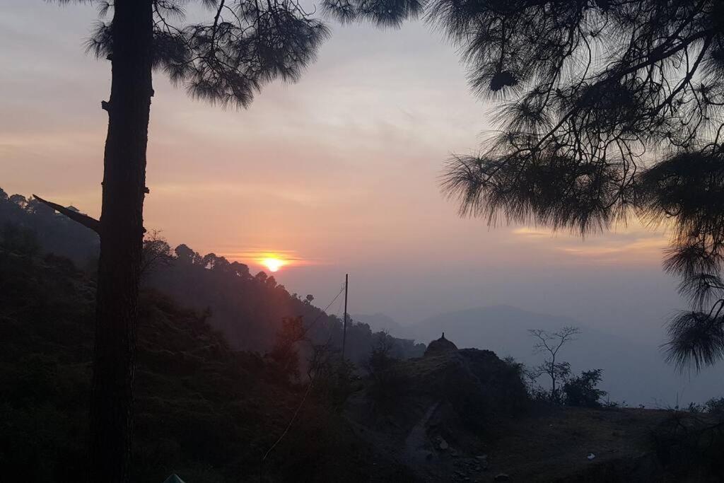 Kasauli Cascade A Cheerfull 4 Bedroom Challet Екстер'єр фото