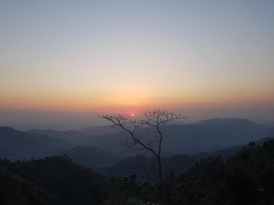 Kasauli Cascade A Cheerfull 4 Bedroom Challet Екстер'єр фото