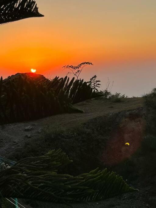 Kasauli Cascade A Cheerfull 4 Bedroom Challet Екстер'єр фото